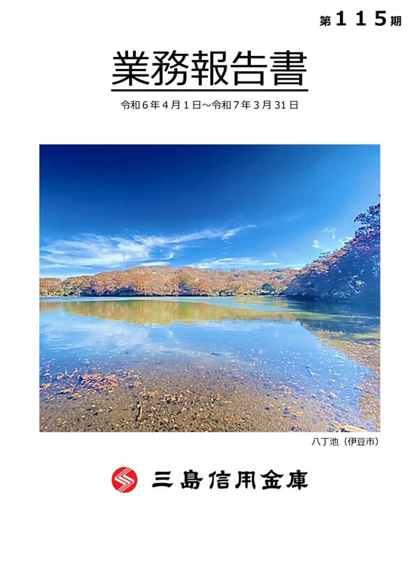 業務報告書