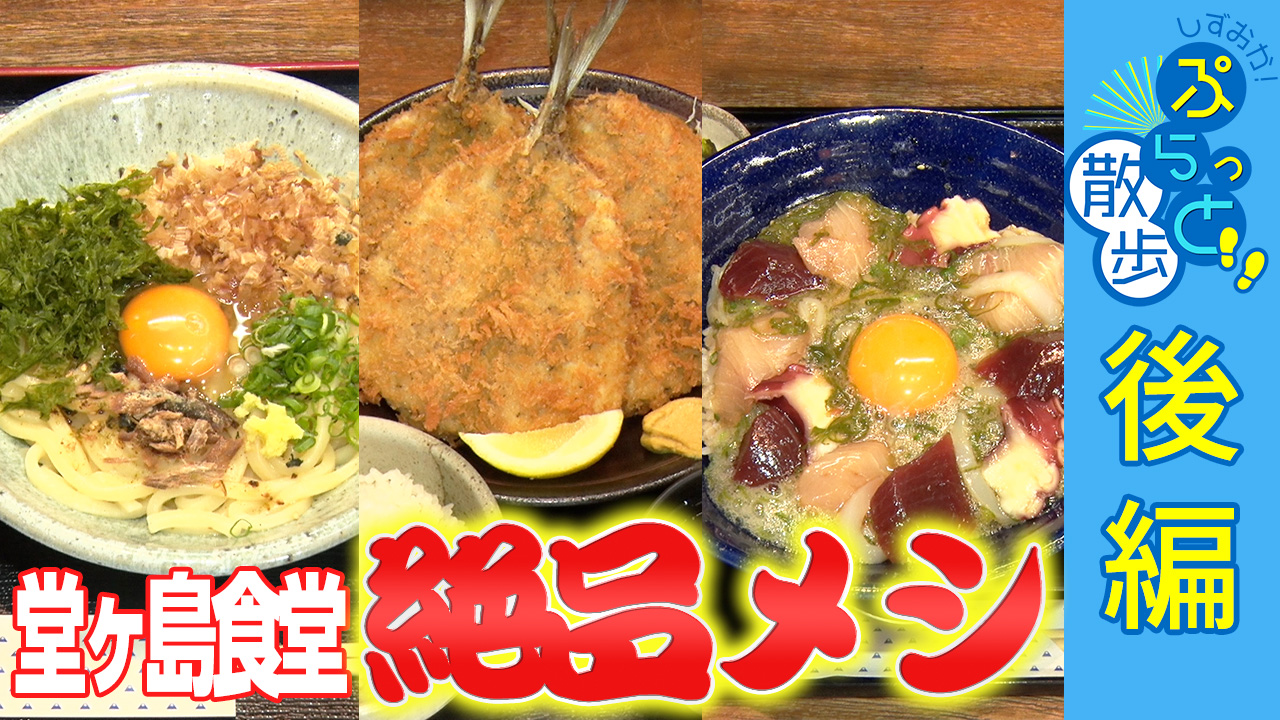 しずおか！ぷらっと散歩2025後編