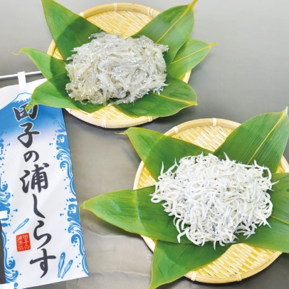 田子の浦しらす（生しらす・釜揚げしらす）